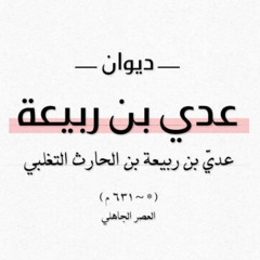 نبئت أن النار بعدك أوقدت - عدي بن ربيعة