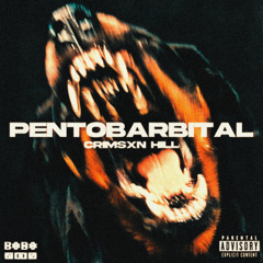 PENTOBARBITAL [Prod. BMTJ]