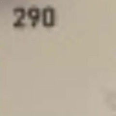 290-gungunz