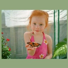 Tetian - Butterflies
