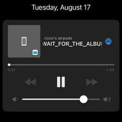 WAIT FOR THE ALBUM