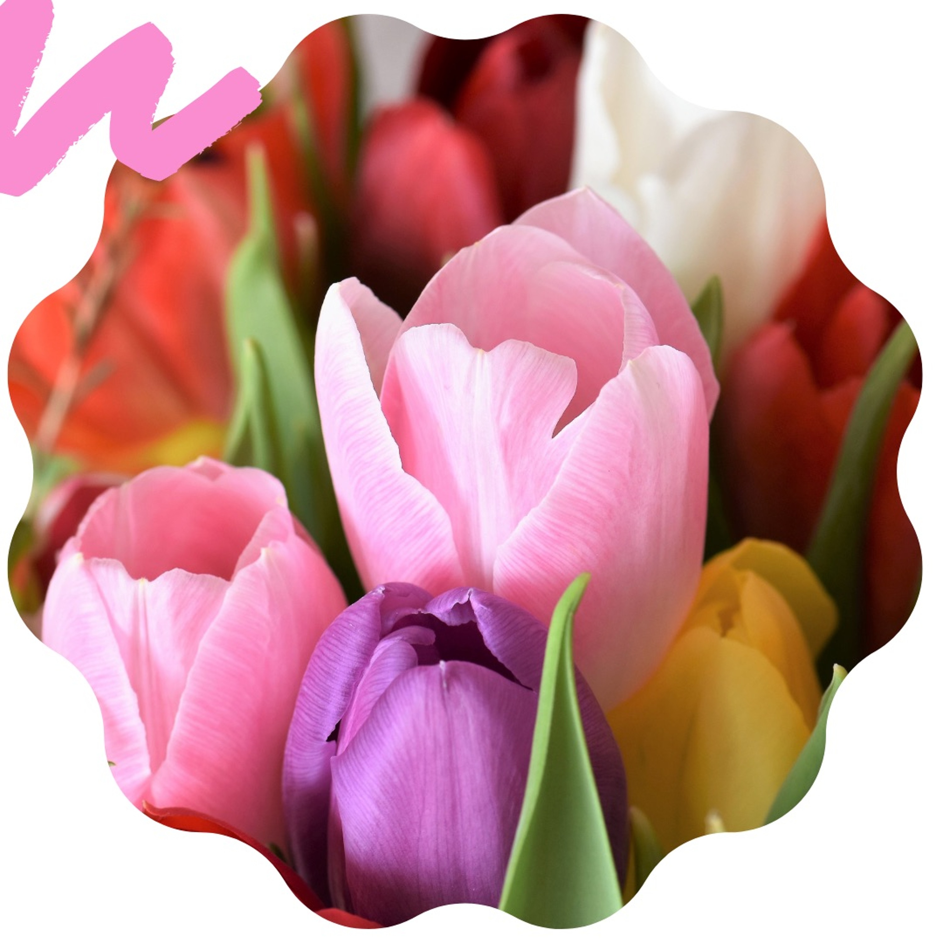 Quattro Stagioni 44 - Dillo con un fiore! (22.4.2021)