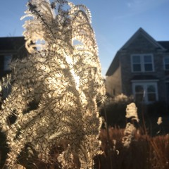 Mourning Prayer Song