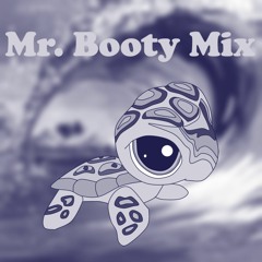 Mr. Booty Mix 6 (Latch x Clarity x Party in the USA x Sun is Shining)