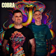Cobra (preview) - soon on a new album "Spirit Provider"