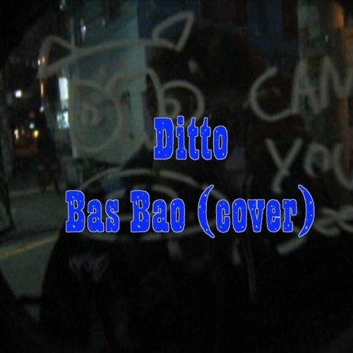 Ditto Cover by Bas Bao( 바스바오 )