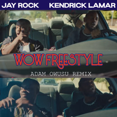 Wow Freestyle [ADAM OWUSU REMIX]