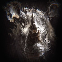 Joja - Interpolation