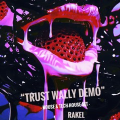 "TRUST WALLY DEMO" -- House & Tech-House Set --
