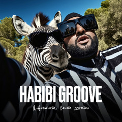 Habibi Groove (Extended Mix)