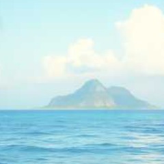 LONELY COUPLES ISLAND