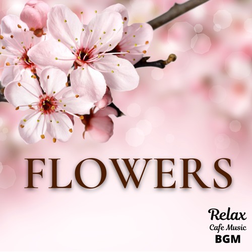 Listen to Flowers by Relax Cafe Music BGM in 10 hours jazz relaxing ...