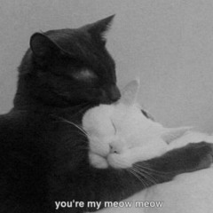 I can't take my eyes off you..