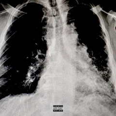 black lungs (prod. seems)