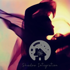 Shadow Integration