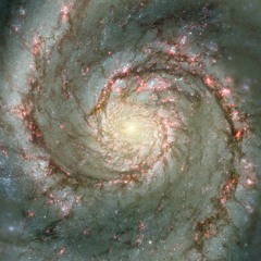 Principen Om Femte Hjulet