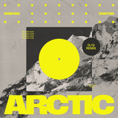 Skepsis x Doktor 'Arctic' (DJ Q Remix) [Ministry Of Sound]