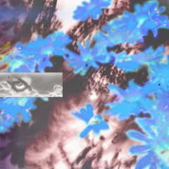 A1 Zara - Noctire | snippet