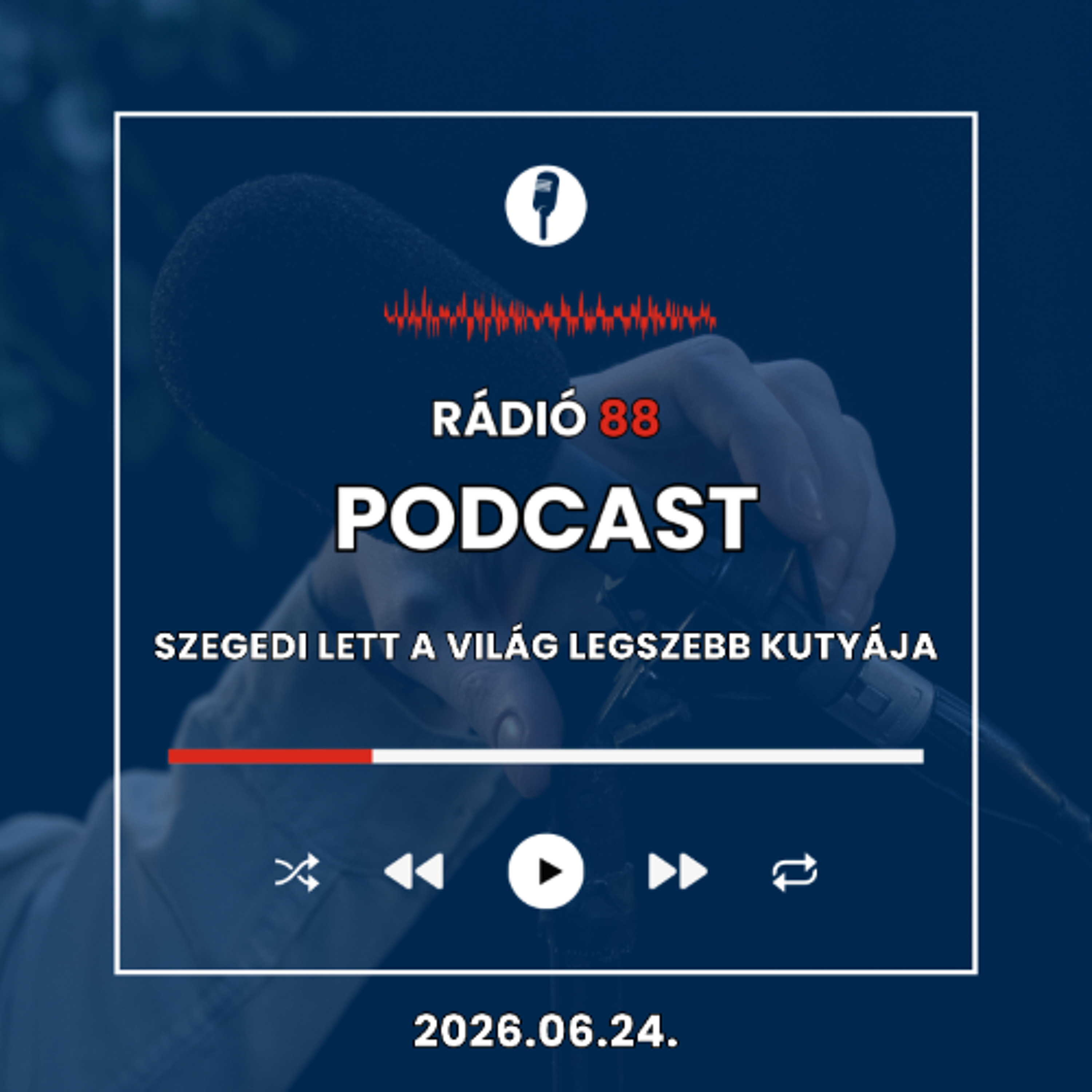 Szegedi lett a világ legszebb kutyája | Café88 [2026.06.24.] episode artwork