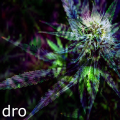 epon dro freestyle