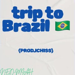 Trip to Brazil