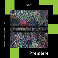 PREMIERE: Vell - Trangs Journey [Boiled Wonderland Records]