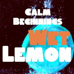 Calm Beginnings