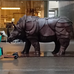 On The Gass Rhinoceros