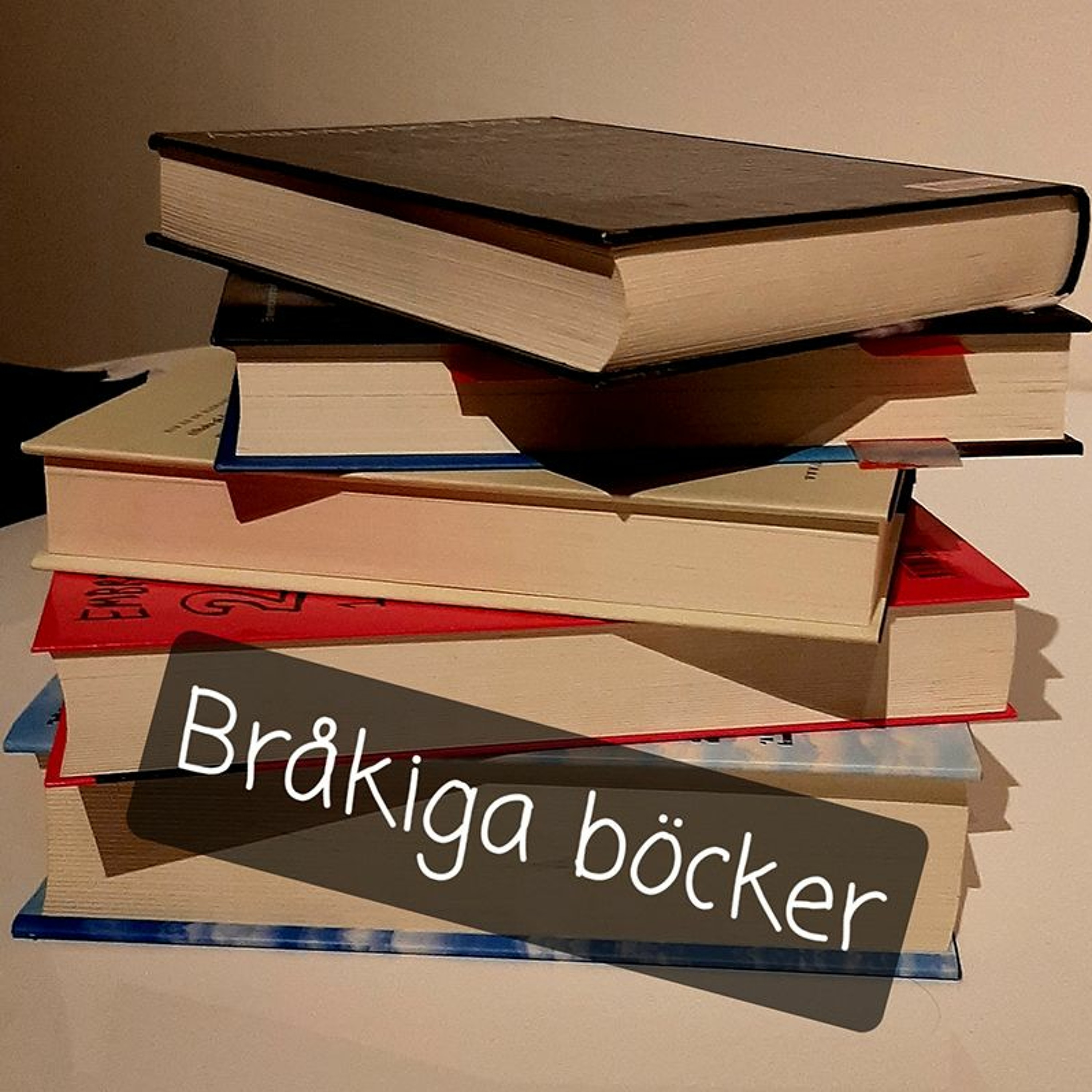 Mellan mörker och ljus