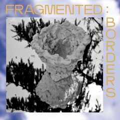 FRAG:002 - fragmented:borders [snippets]