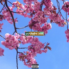 Goodbye 2020