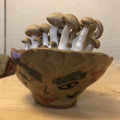 宇宙人のさんぽ UCHUUGIN NO SANPO