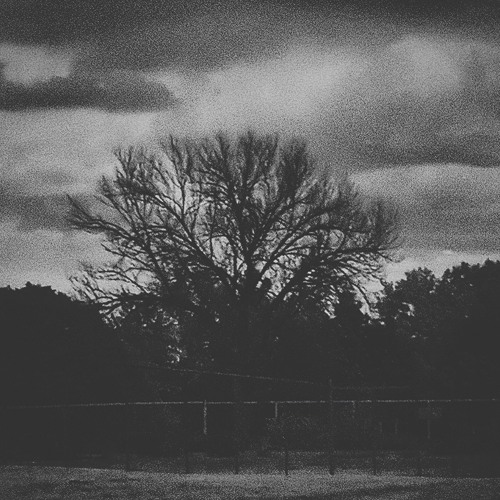 day dream with ur eyes open pt. 1