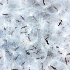 OOH-sounds w/ Devid Ciampalini [Luce Celestiale] - Noods Radio - 28-11-21