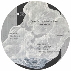 Payam Parvizi & Ramtin Niazi - Lone Kat EP // FUV001