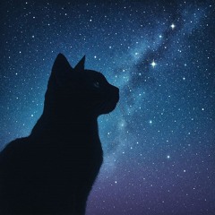 My Cat, My Universe
