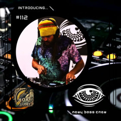 Introducing... Guest Mix #112 Hori Glory