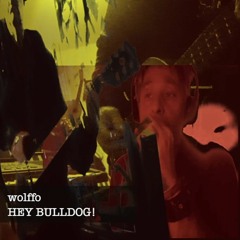 Wolffo- Hey bulldog!.mp3
