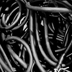 Aamu X Forestocrats - Juuristo @ Jyväskylä Forest 8/2025