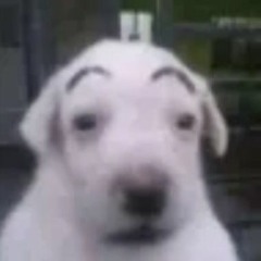 bruh
