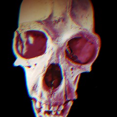 Skeleton
