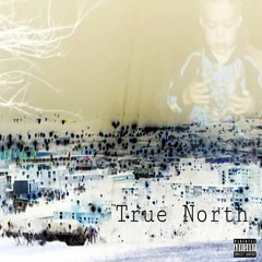 True North