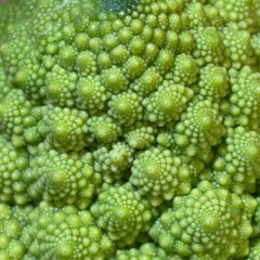 Techno Freakshow (new edit)