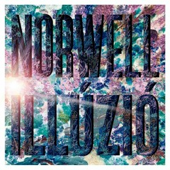 Premiere: Norwell - Tangerine Trees