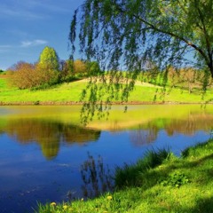 Calm Music Free Download play background 🐊FREE DOWNLOAD