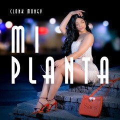 Clonk Money - Mi Planta