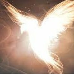 Your Tour Guide (Rev. Bill Williams, 12/26/21)