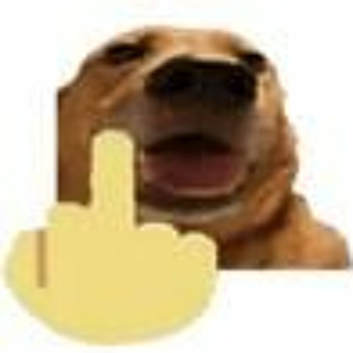 Funny Dog Gang Sped Join