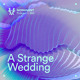 on MNMT 484 : A Strange Wedding