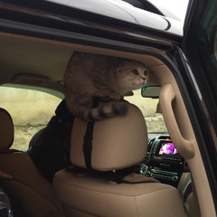 ПРО ЛЮБОВЬ [normal/slowed/nightcore]